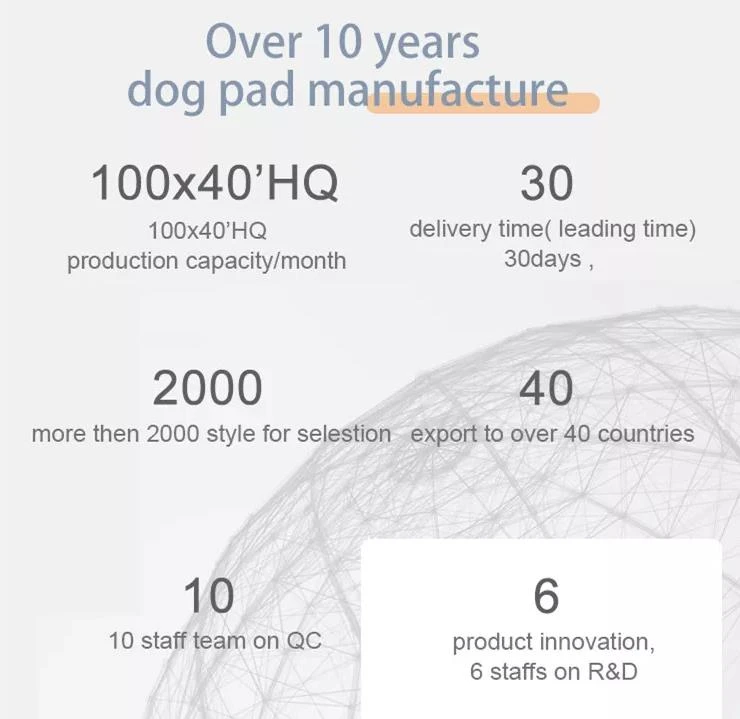 Qingdao D& R Hygienic Products Co., Ltd. introduce