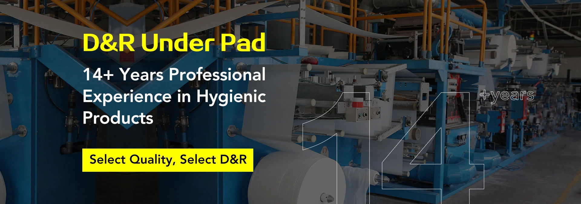 D&R Under Pad<br />
in Hygienic Products<br />
13+ Years Professional Experience