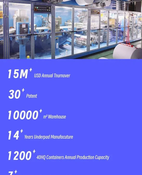 Eco-Friendly Personal Flushable Wet Wipes — Redefining Clean & Comfort