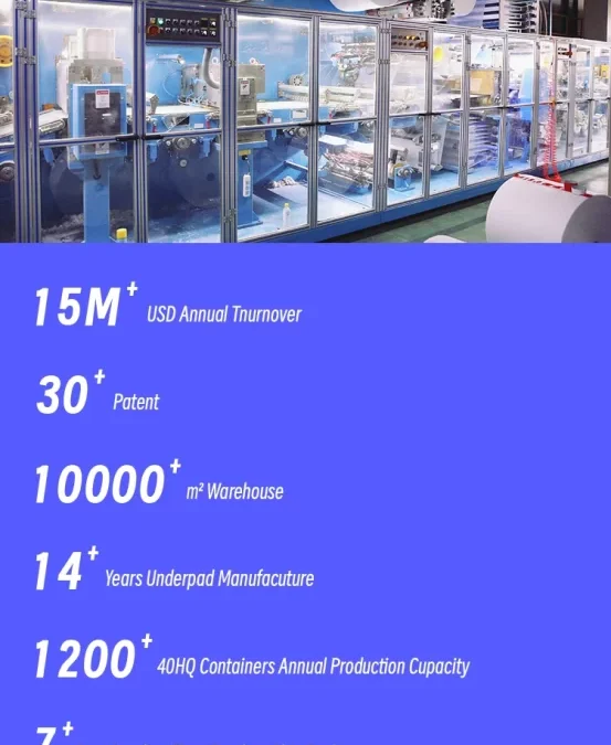 Eco-Friendly Flushable Wipes for Everyday Cleaning